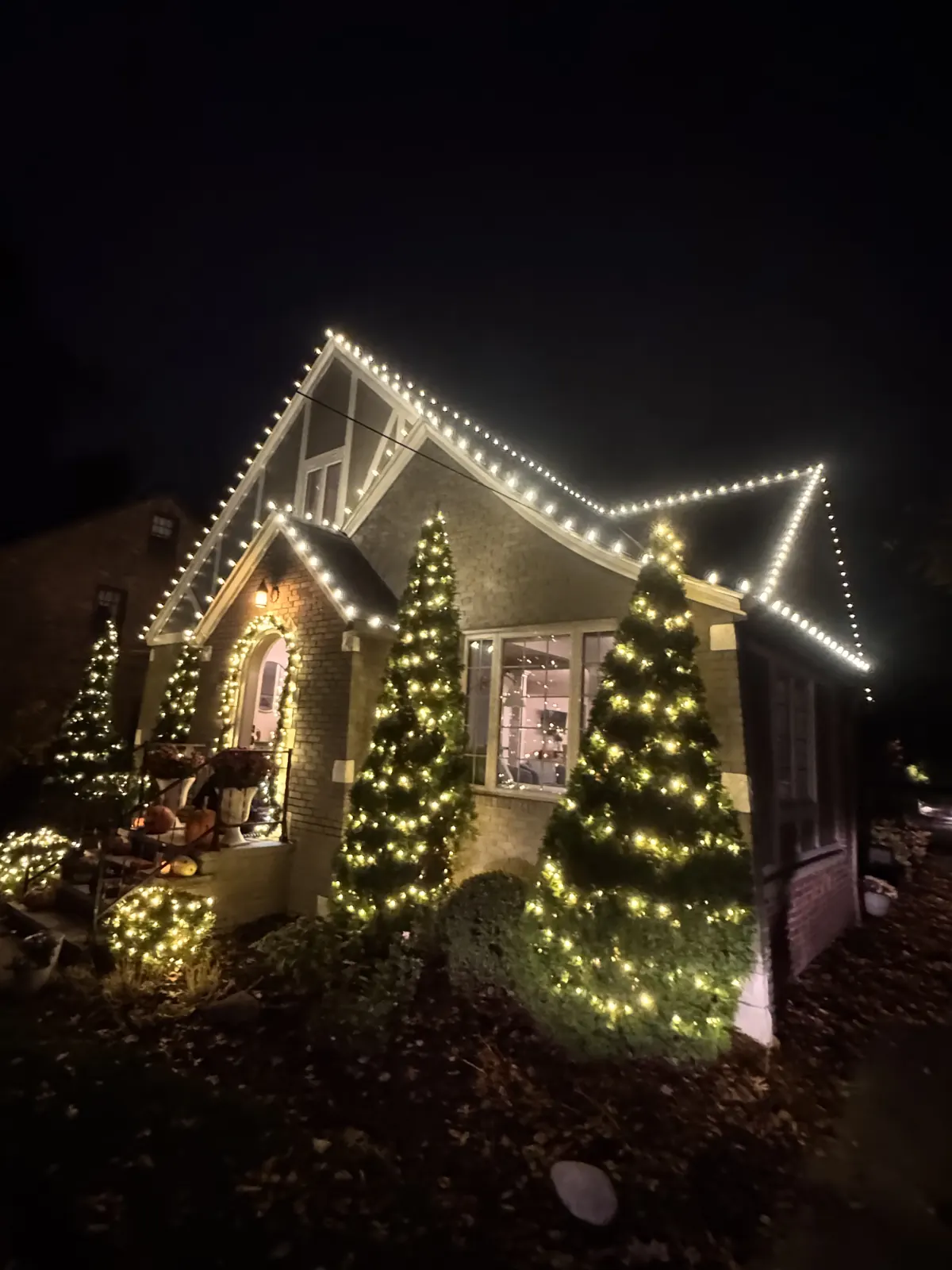 Wrapped evergreen shrubs glowing with Christmas lights in front of a lit home entrance